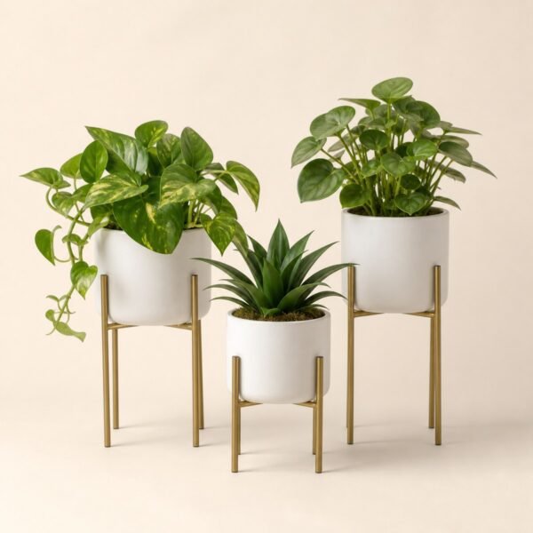 Indoor Planter Set - VIDHISRI